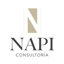 Napi-logo_Mesa-de-trabajo-1.png